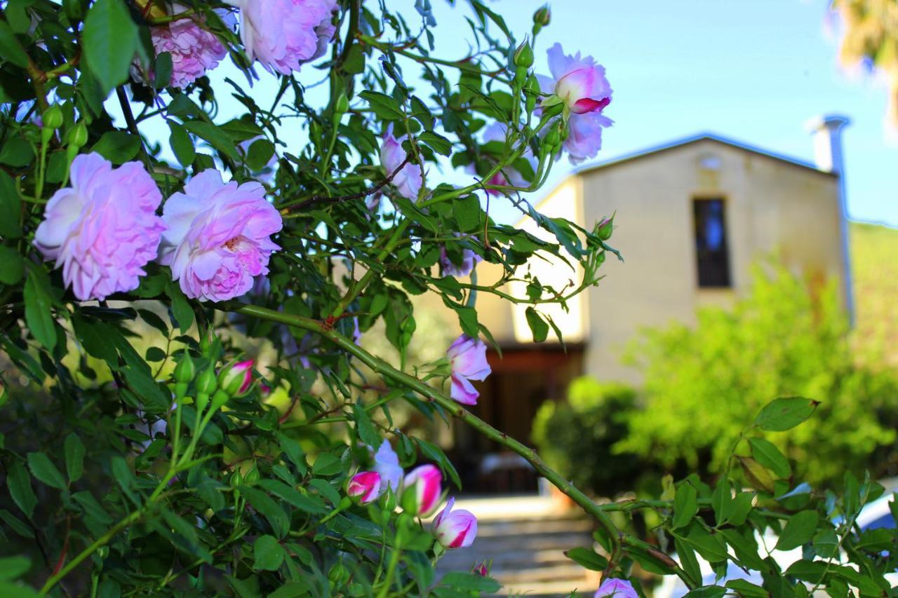 Agriturismo Tarantola Villa อัลคาโม ภายนอก รูปภาพ